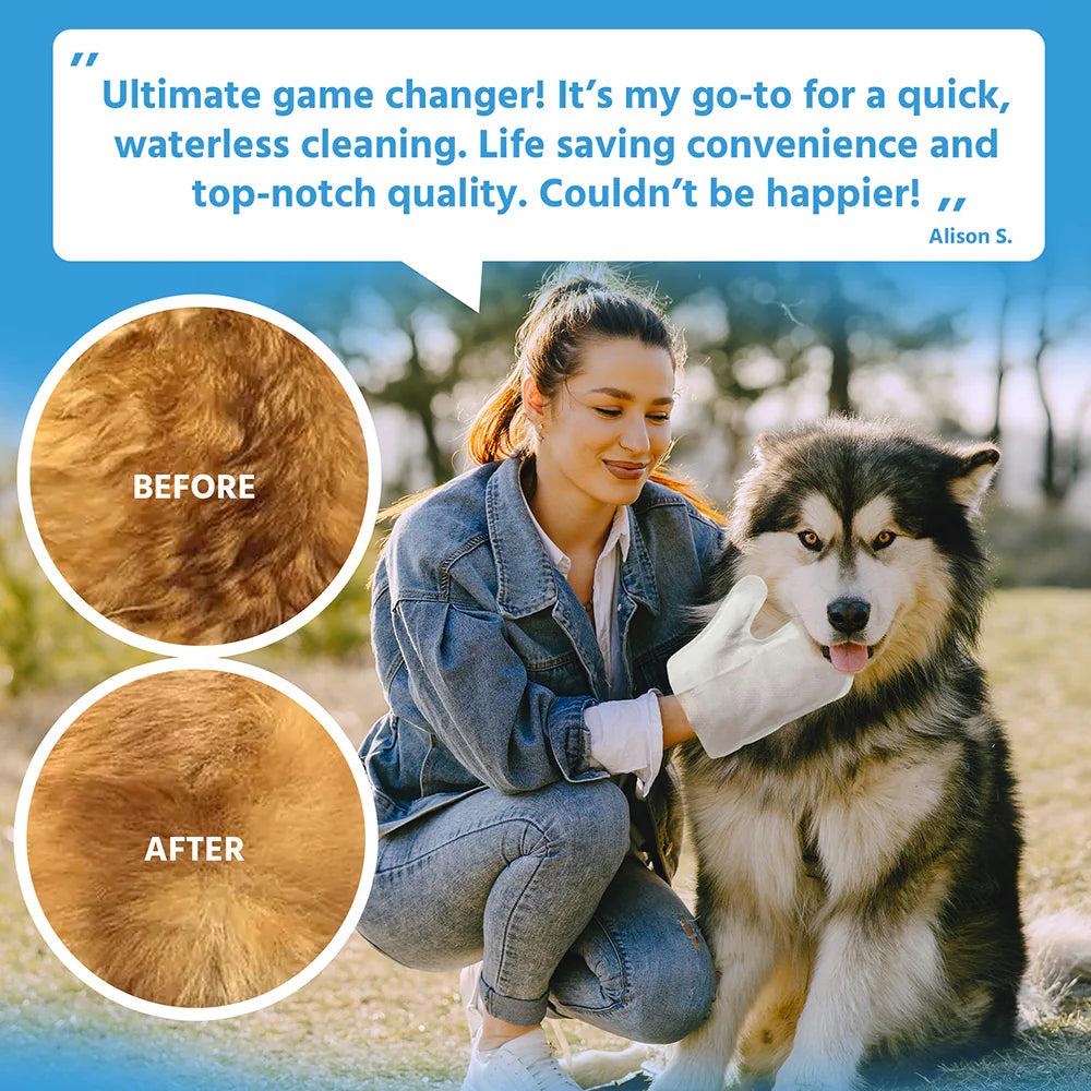 Cleaning Wet Wipe Mitt (Lightly Scented & Moist) 6Pcs.