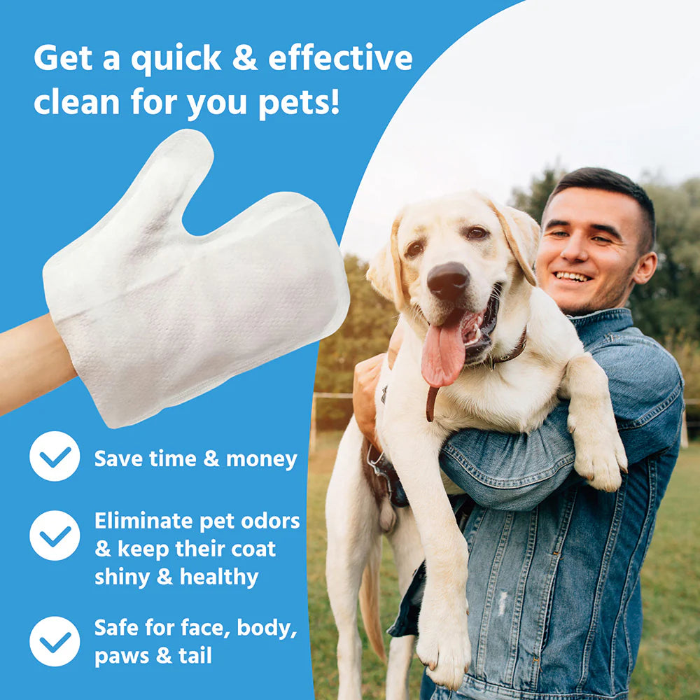 Cleaning Wet Wipe Mitt (Lightly Scented & Moist) 6Pcs.