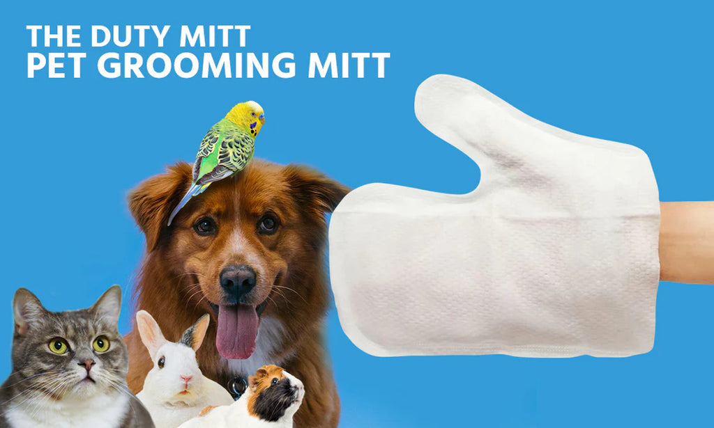 Cleaning Wet Wipe Mitt (Lightly Scented & Moist) 6Pcs.
